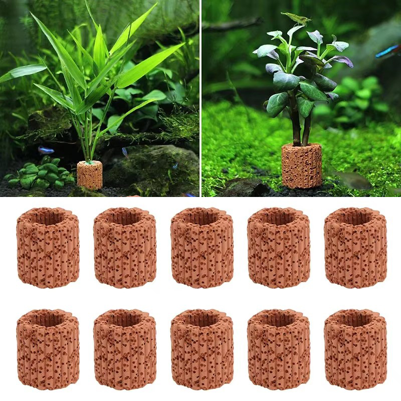 Aquarium Plant Utensils - Aquatic Plant Fixed Ring for Aquarium