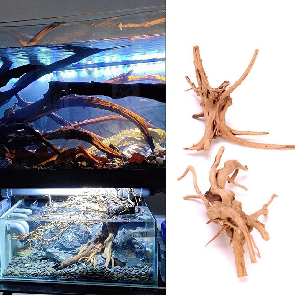 Planted Aquarium Bowl - Aquarium Driftwood Natural Fish Tank Plant