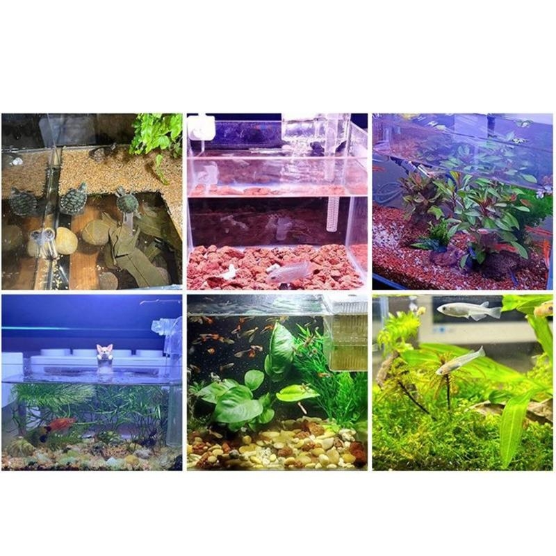 Small Aquarium Fish Bowl LED L - огляд і ціна Planted Aquarium Bowl