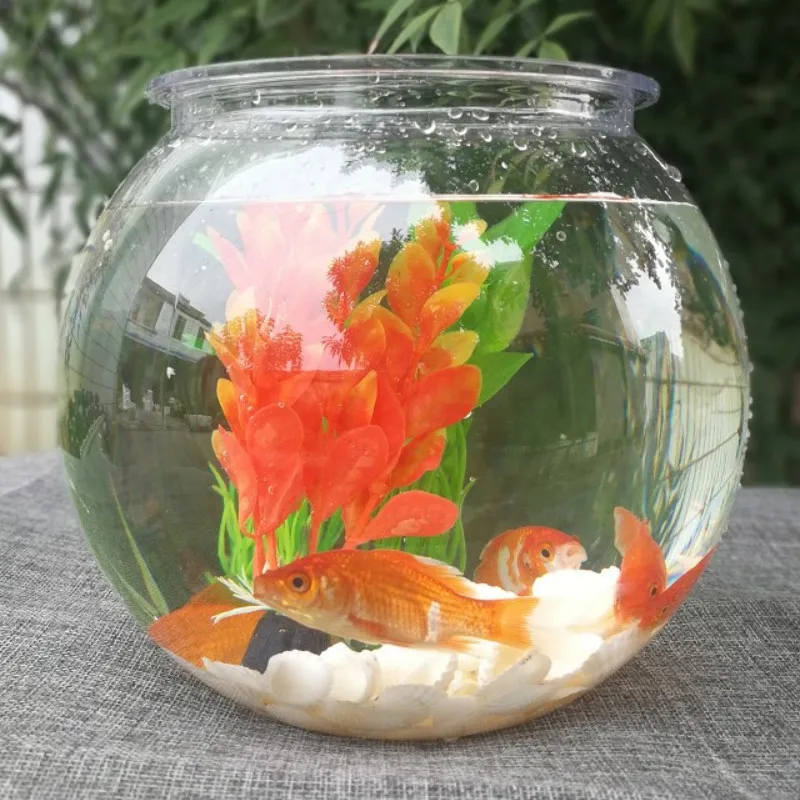 Goldfish bowl desktop transpar - огляд і ціна Planted Aquarium Bowl