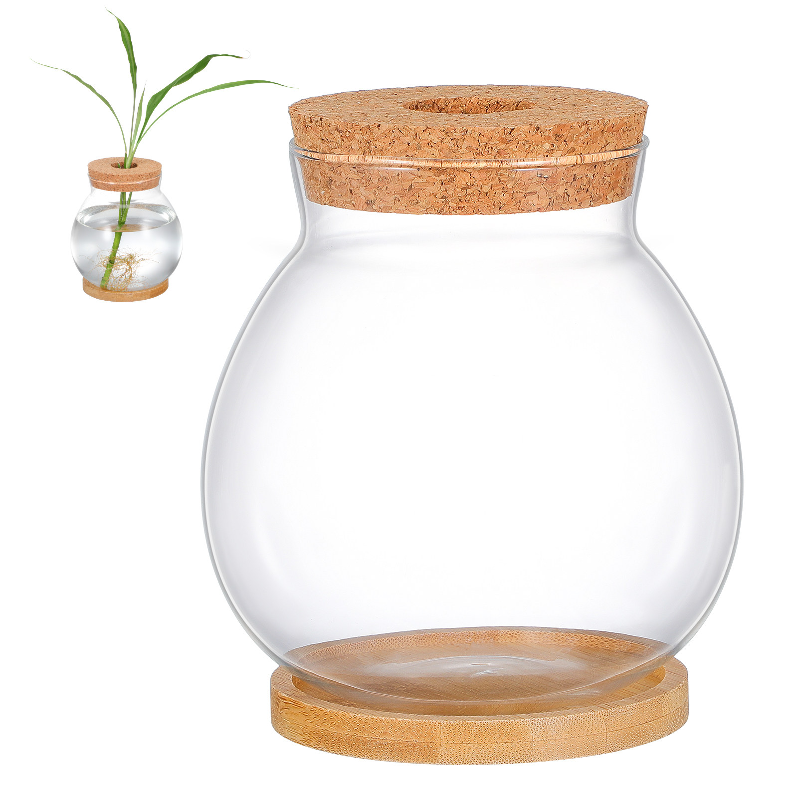 Glass Betta Fish Bowl Desktop  - огляд і ціна Planted Aquarium Bowl
