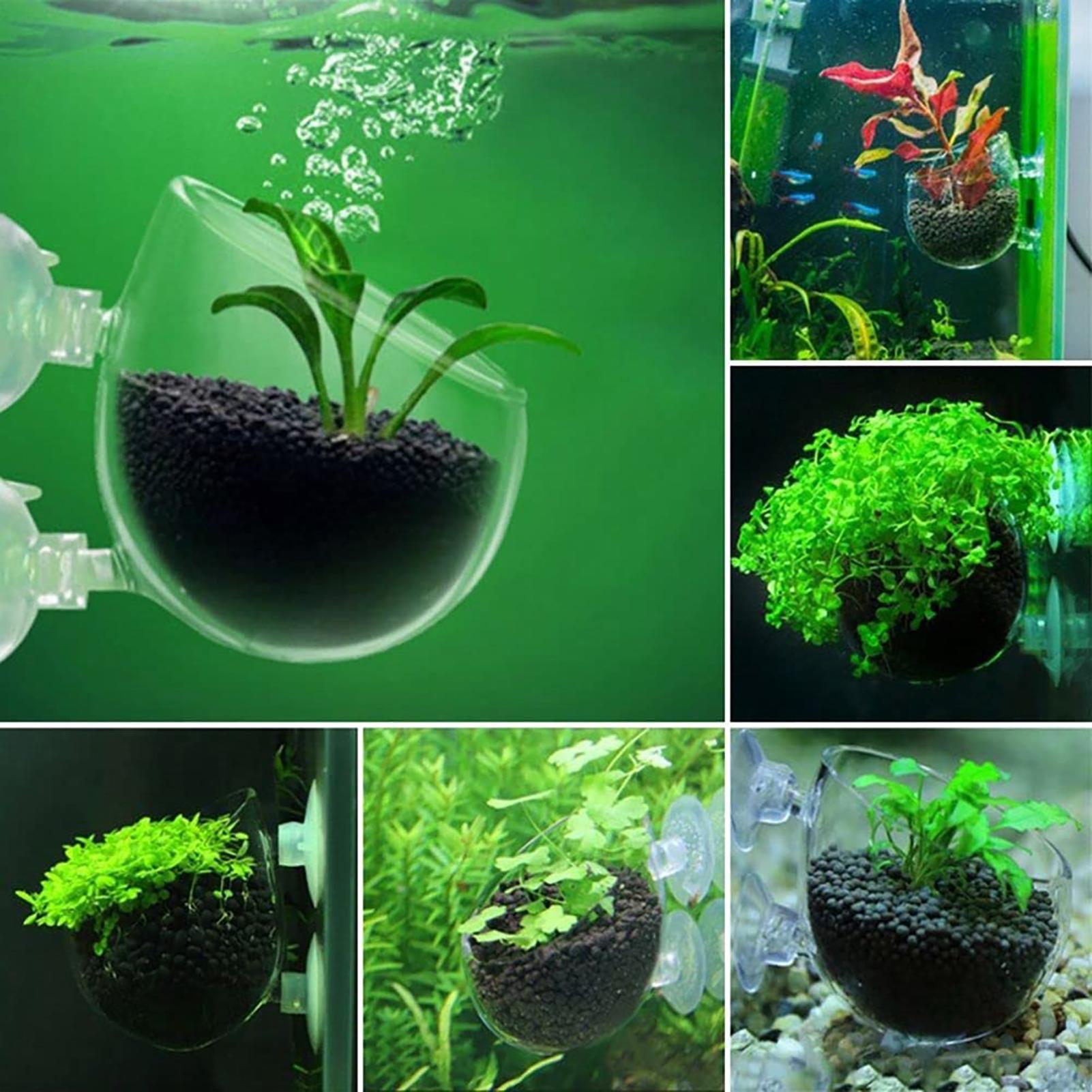 Aquarium Decoration Plant Cup  - огляд і ціна Aquarium Plant Utensils