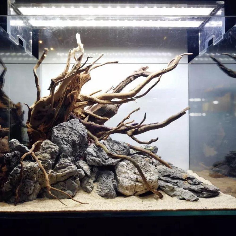 Aquarium Driftwood Natural Fis - огляд і ціна Planted Aquarium Bowl