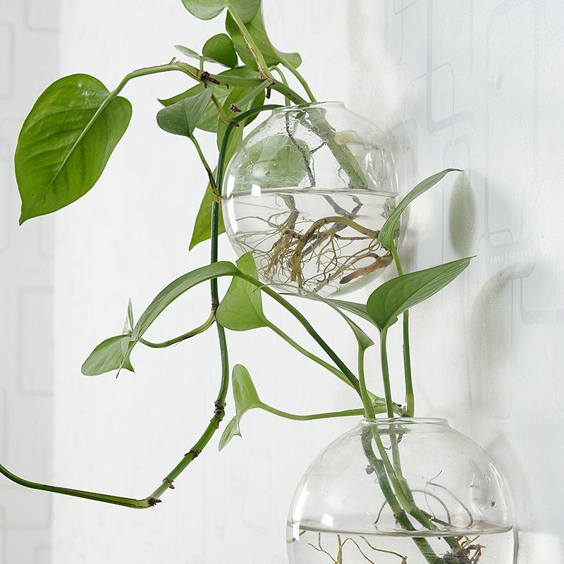 Wall Hanging Acrylic Fish Bowl - огляд і ціна Planted Aquarium Bowl