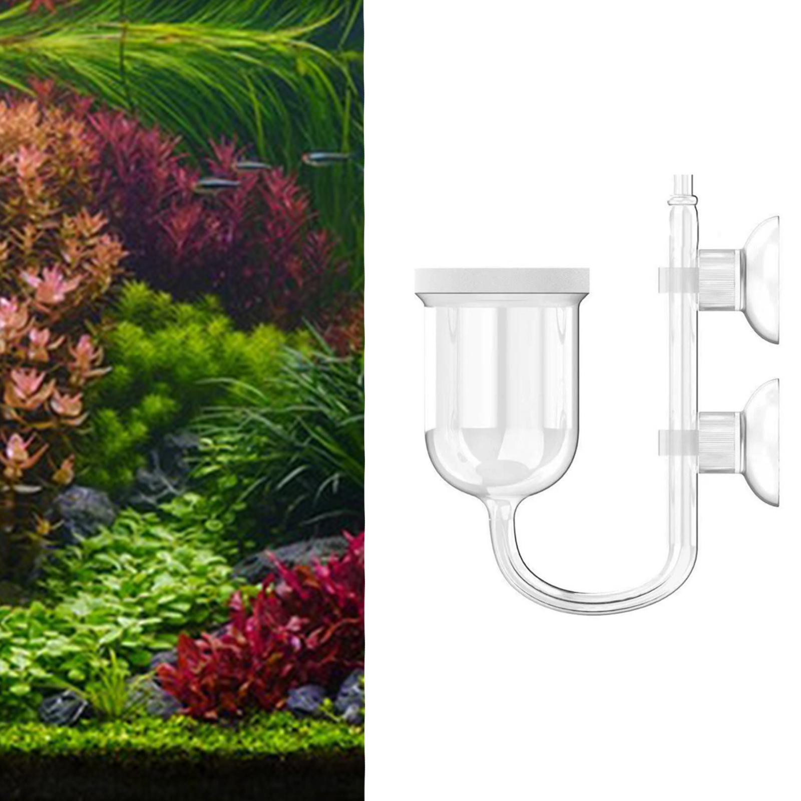 Aquarium CO2 Diffuser Clear Gl - огляд і ціна Aquarium Plant No Co2