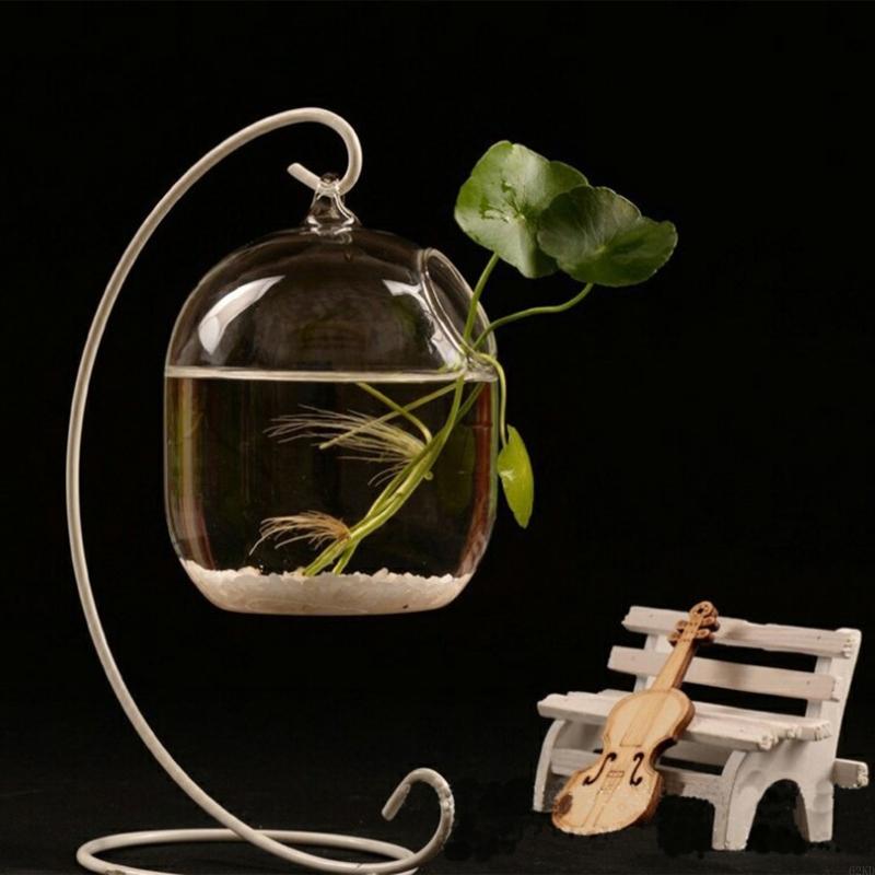 62KD Suspended Transparent Han - огляд і ціна Planted Aquarium Bowl