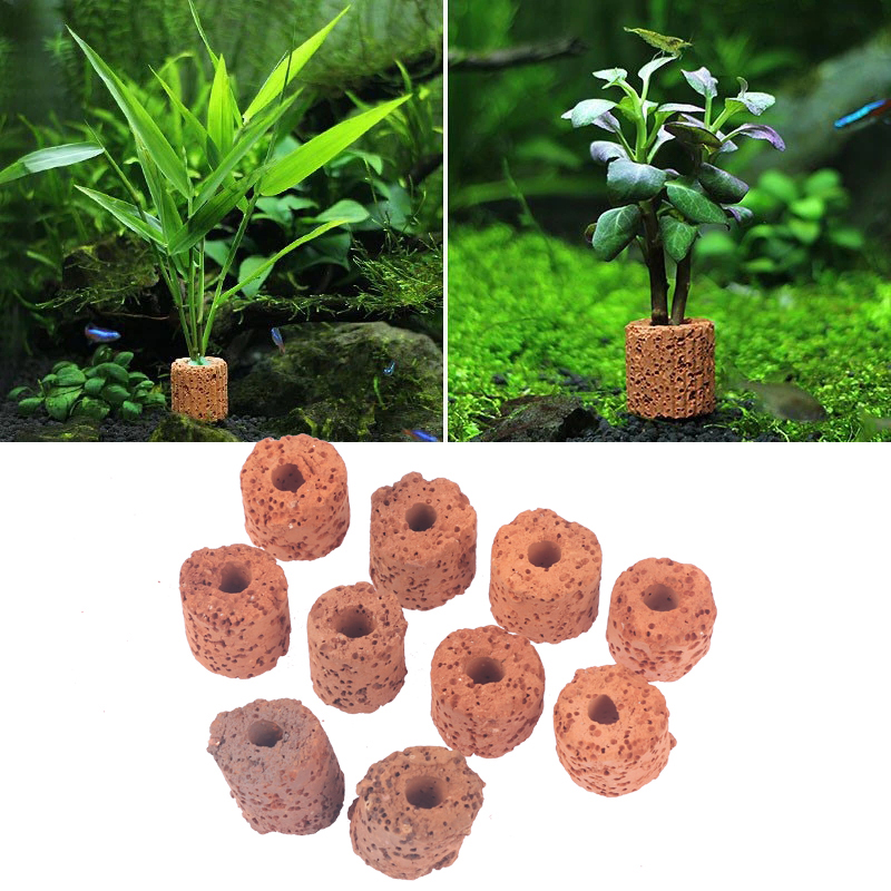 ^10Pcs Plant Ring Aquarium Fix - огляд і ціна Aquarium Plant Utensils
